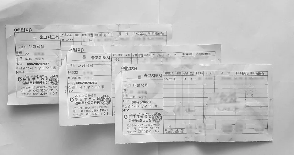 부경양돈농협 김해축산물공판장 출고지도서 세 장